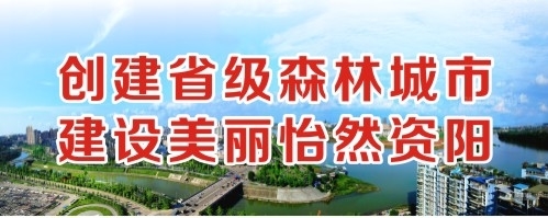 嗯啊不要骚逼三个洞创建省级森林城市 建设美丽怡然资阳