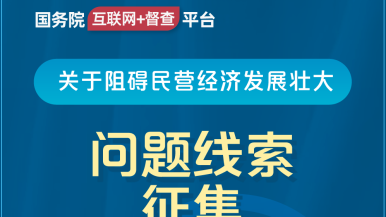 日老太婆逼国务院“互联网+督查”平台公开征集阻碍民营经济发展壮大问题线索